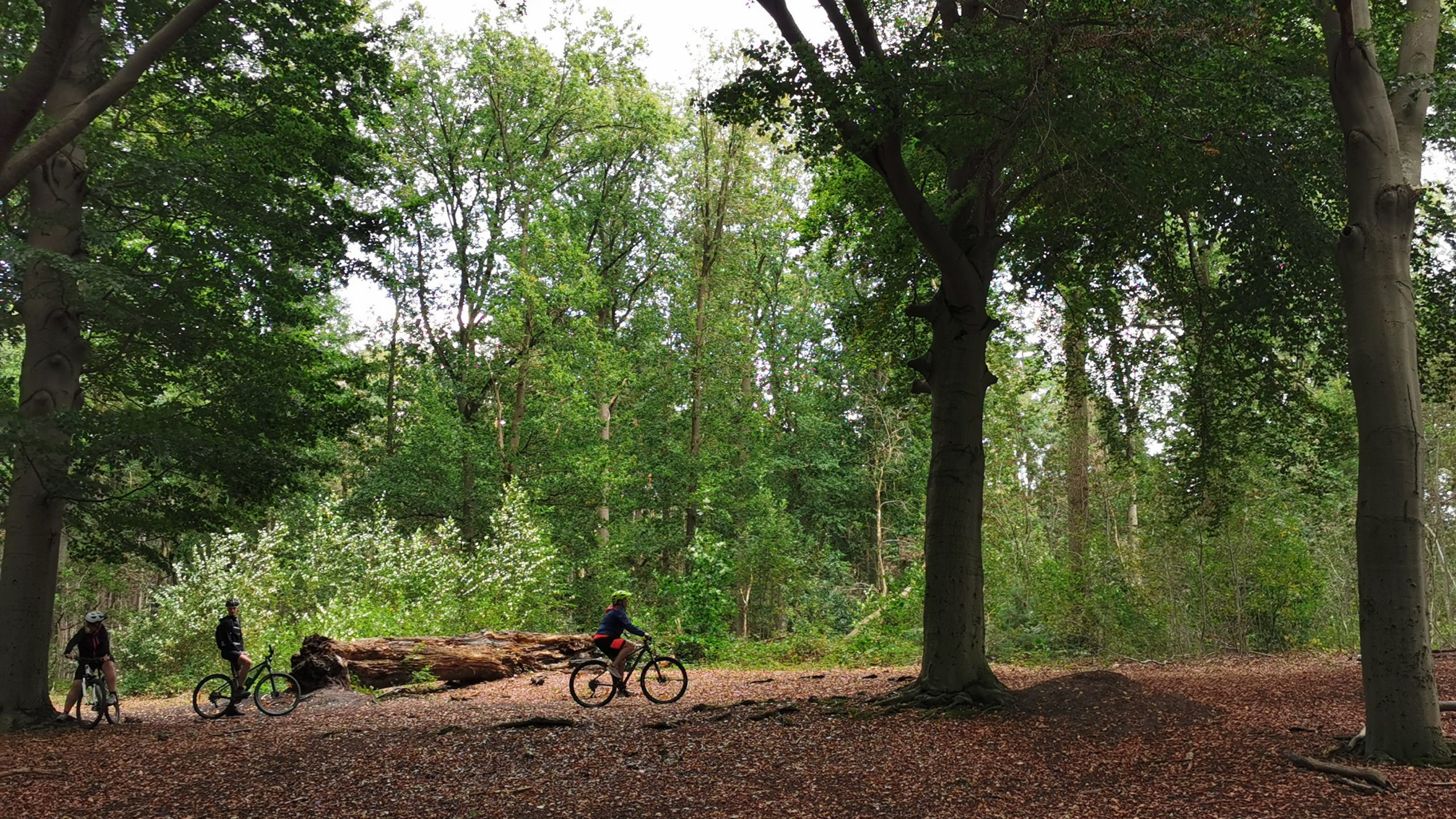 Mountainbike Trainingen